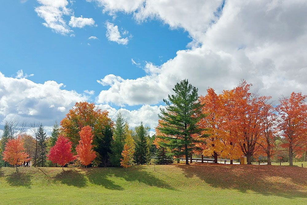 Autumn_1000_px.jpg