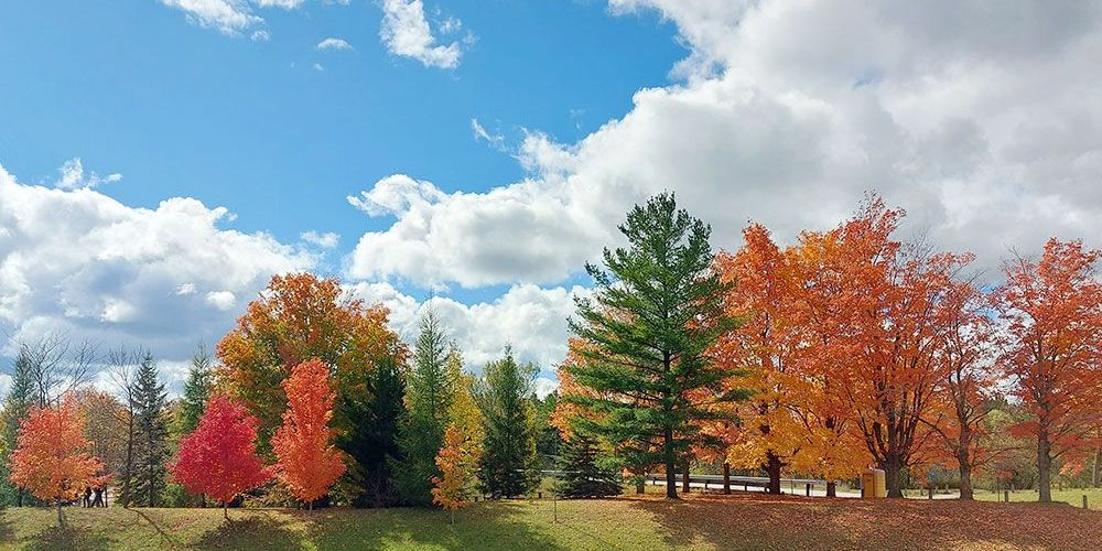 A file photo of autumn colours at Morrison Reservoir.
